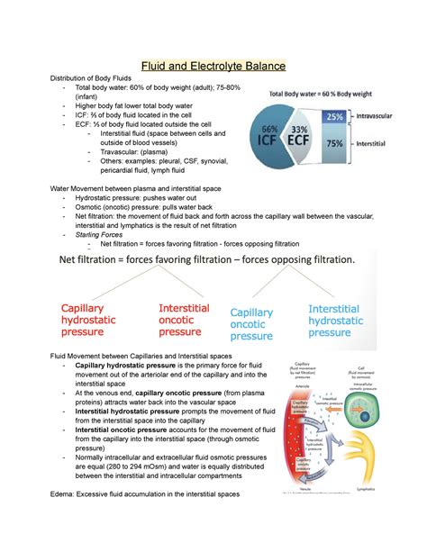 Pathophysiology EXAM 2 Notes Fluid And Electrolyte Balance