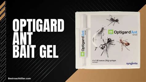 Optigard Ant Gel Review In Depth Review