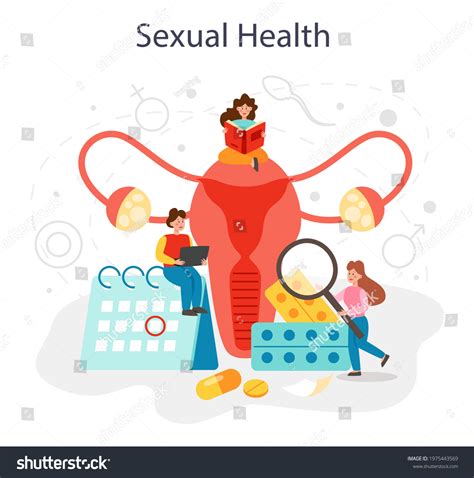 Sexual Education Concept Sexual Health Lesson Stock Vector Royalty Free 1975443569 Shutterstock