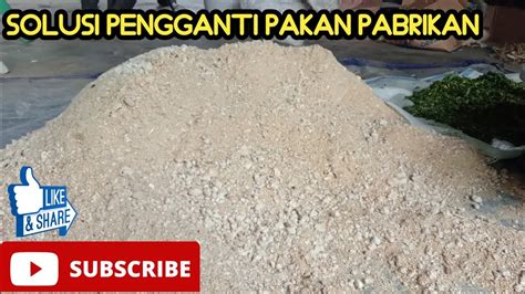 Untuk Menekan Biaya Pakan Kita Menggunakan Pakan Alternatif Tambahan