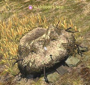 Dodo's Nest (Mob) - Gamer Escape's Final Fantasy XIV (FFXIV, FF14) wiki