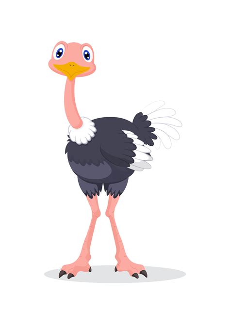 Clipart Ostrich Vector Isolated On White Background 13171552 Vector Art