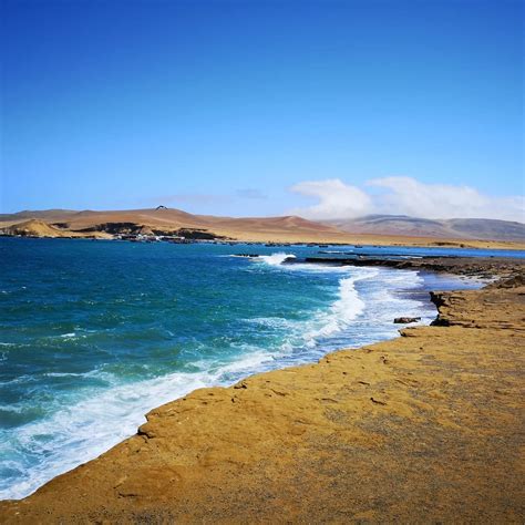 Paracas Nature Reserve - All You Need to Know BEFORE You Go (2024)