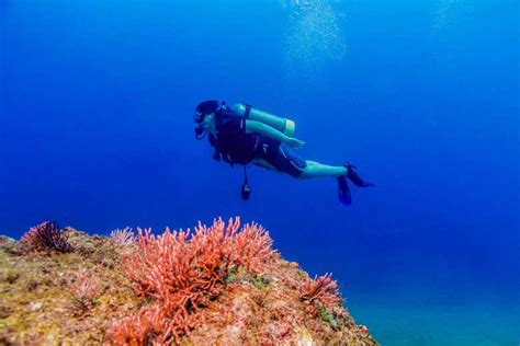 Bautismo De Buceo En Las Caletas Desde Riviera Nayarit