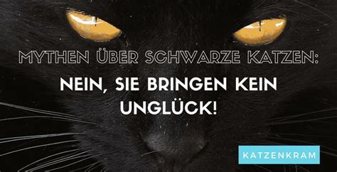 Aberglaube Bringen Schwarze Katzen Wirklich Ungl Ck Schwarze