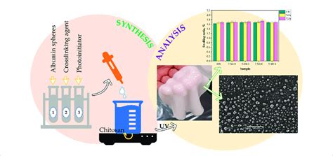 Physicochemical Characteristics Of Chitosan Based Hydrogels Containing