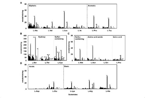 | Deamination of L-amino acids to α-keto acids using the resting cells... | Download Scientific ...