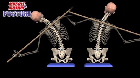 Lateral Flexion Anatomy