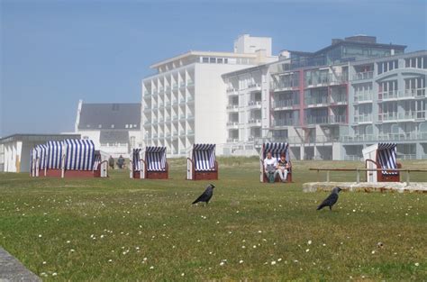 Aufstellen der Strandkörbe Norderney Nordsee Magazin