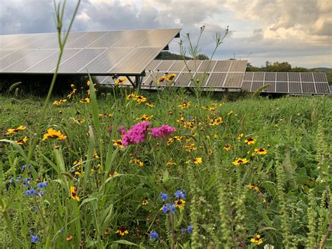 Watch Agrivoltaics As A Climate Smart Conservation Cropping Practice Jacks Solar Garden And