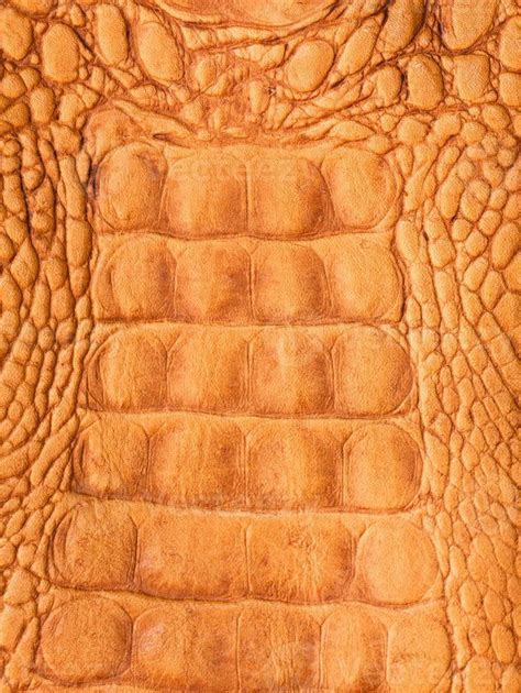 Crocodile skin background 19771578 Stock Photo at Vecteezy