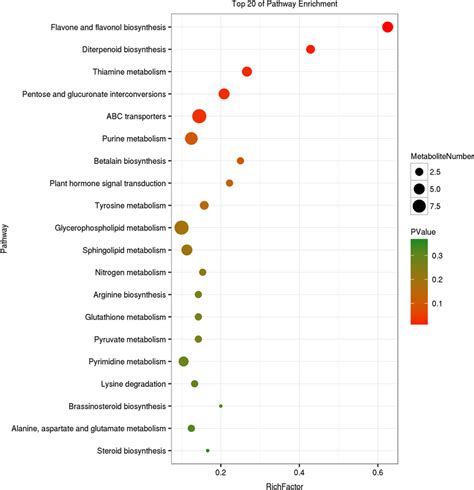 Kegg Enrichment Map Of Differential Metabolite Of Two Strains At D