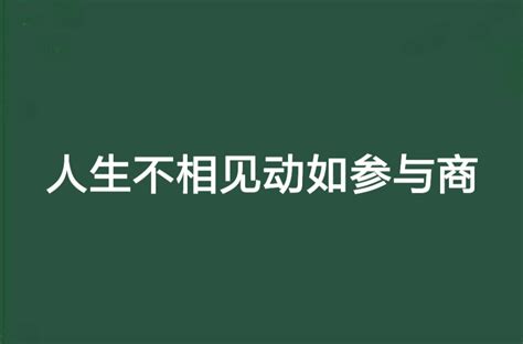 人生不相見動如參與商小說類型內容簡介中文百科全書