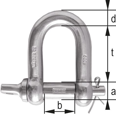 Buy Stainless Steel Css 10 Safety D Shackle Online Cromox®