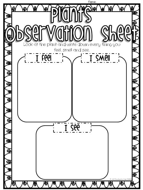 Science Observation Worksheets