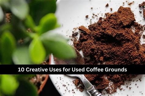 10 Creative Uses For Used Coffee Grounds Birthday Stock