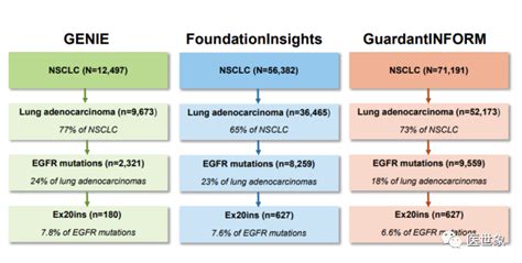 肺癌 Egfr 20插入突变率到底有多高，治疗药物有哪些？真实世界研究腾讯新闻