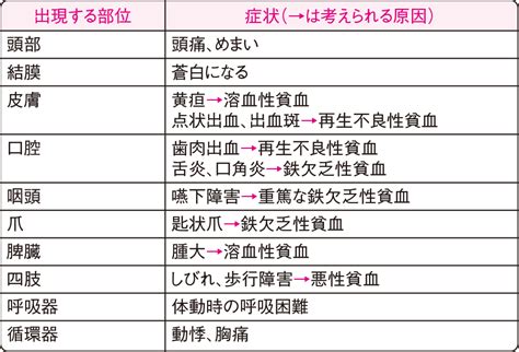 貧血に関するq＆a 看護roo カンゴルー