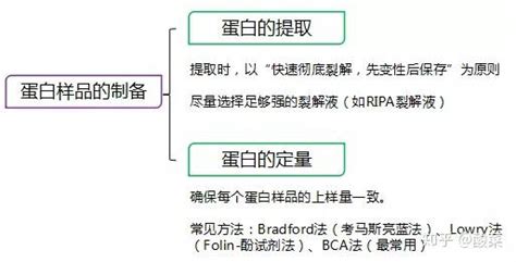 Western Blot经验大盘点，有这一篇就够了 知乎