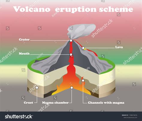 Volcano Eruption Cross Section Colore Isolated Stock Vector (Royalty ...