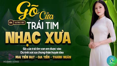 Gõ Cửa Trái Tim LK Nhạc Vàng Rumba Hải Ngoại Thư Giãn Cực Êm Tai Bolero