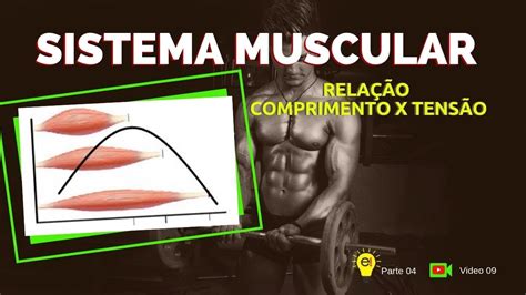 Sistema Muscular Relação Comprimento x Tensão YouTube