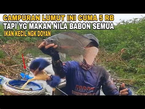 EDAN CAMPURAN LUMUT INI TERNYATA AMPUH UNTUK MANCING NILA BABON