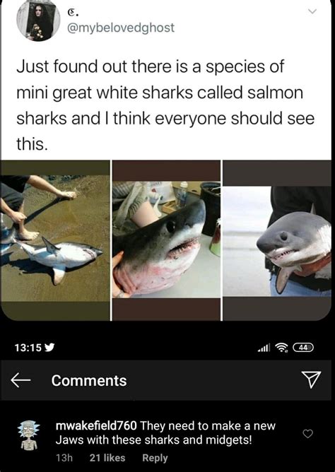 Cursedsharks Cursedcomments