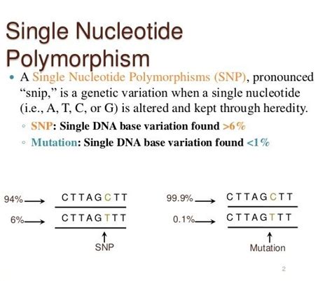 Single Nucleotide Polymorphism Snp And Its Preview Genetic