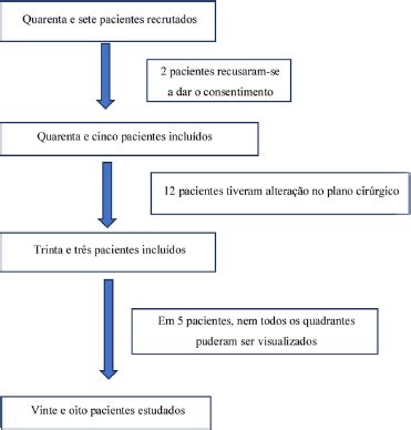 Scielo Brasil Lung Ultrasonography As A Tool To Guide Perioperative