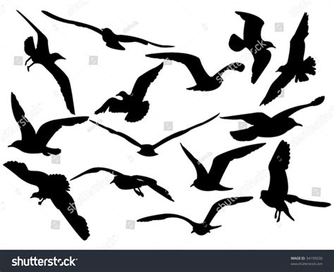 Variety Flying Sea Gulls Vector Illustration Stock Vector Royalty Free