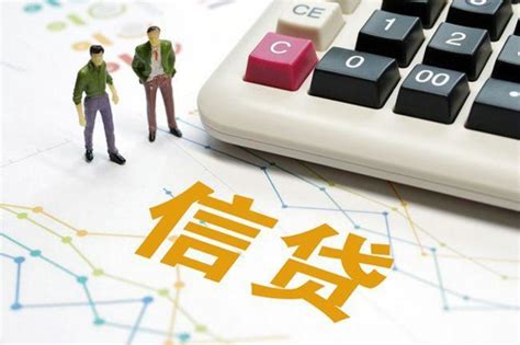 什么是信用贷什么是信用贷款申请信用贷款需要什么手续和条件 说明书网