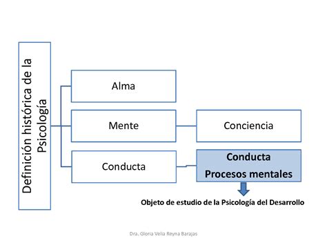 SOLUTION Clase 1 Introducci N A La Psicolog A Del Desarrollo Studypool