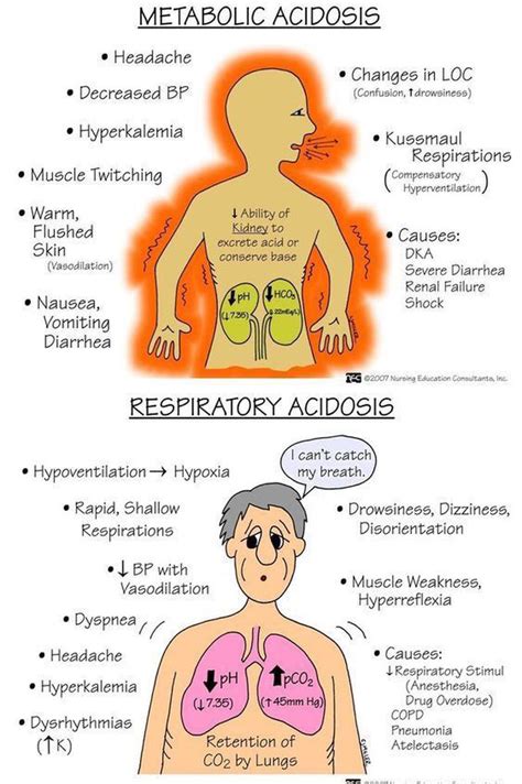 Metabolic Acidosis Vs Respiratory Acidosis Medizzy