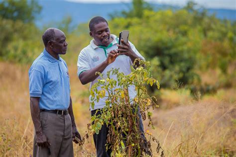 Agri Experts Called To Apply For Integrated Crop Management Online