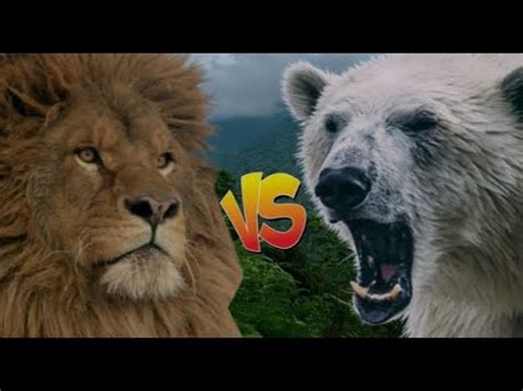 Bear Vs Lion The Ultimate Showdown Youtube