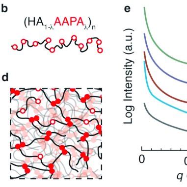 Molecular Design And Structure Of Associative Polymers A An