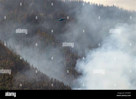 Helicopter Near Sparwood British Columbia Canada Carrying A Bucket Of Retardant Over A