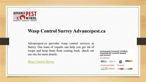 Wasp Control Surrey Advancepest Ca