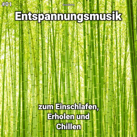 Entspannungsmusik Zur Konzentration Song And Lyrics By Einschlafen