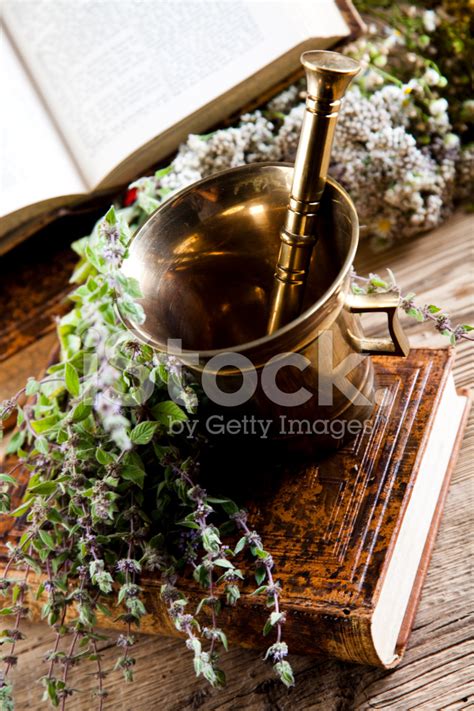 Foto De Stock Mortero Y Hierbas Medicinales Naturales Surtidas Libre