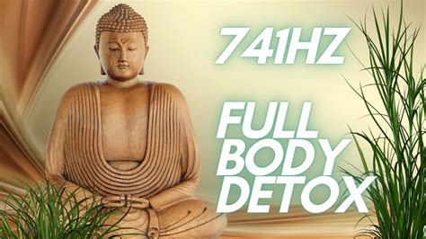 741hz Full Body Detox Aura Cleanse Remove Toxins YouTube