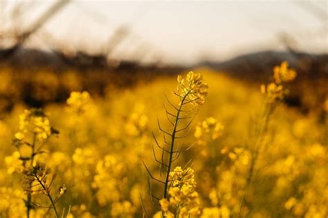 Travel + Leisure list of 20 best things to do in Napa Valley