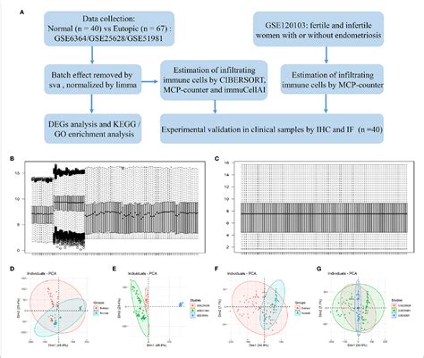 Figure 1 From Identification And Validation Of The Signatures Of Infiltrating Immune Cells In