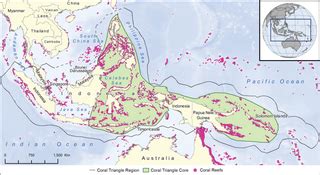 Coral Triangle Map : r/MapPorn