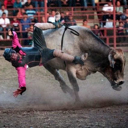 Women rodeo bull riders buck tradition in macho Nicaragua | South China ...