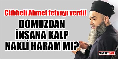 Cübbeli Ahmet fetvayı verdi Domuzdan insana kalp nakli haram mı