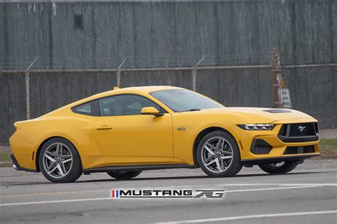 Official Yellow Splash Mustang S Thread Page Mustang G