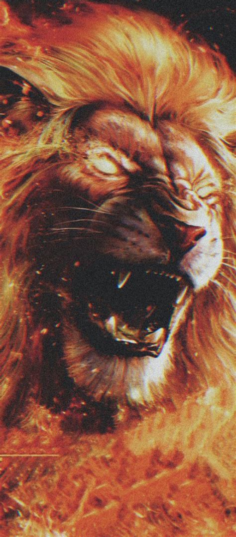 Angry Lion Wallpaper K For Mobile Infoupdate Org