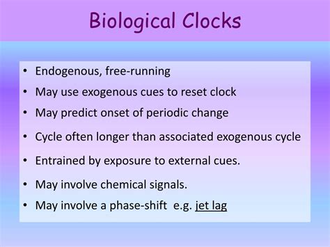 How Does Biological Clock Work Reading Answers At Davemrobinson Blog